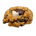 AJB-1299 : Campfire S'mores Cookie at A & J's Texas Bakehouse