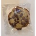 AJB-1018 : Chocolate Chip Classic Sugar Cookies at A & Js Texas Bakehouse