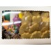 AJB-1061 : DYO Easter Cutout Cookie Kit 1 Dozen Cookies at A & J's Texas Bakehouse