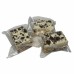 ABJ-1135 : Cookies and Cream Krispies at A & Js Texas Bakehouse