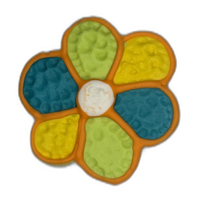 AJB-1178 : Garden Wildflower Frosted Cutout Sugar Cookie at A & Js Texas Bakehouse