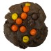 AJB-1219 : Fudgy Peanut Butter Candy Cookie at A & Js Texas Bakehouse