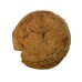 AJB-1315 : Snickerdoodle Party Cookies at A & J's Texas Bakehouse AJB-1315 : Snickerdoodle Party Cookies at A & J's Texas Bakehouse