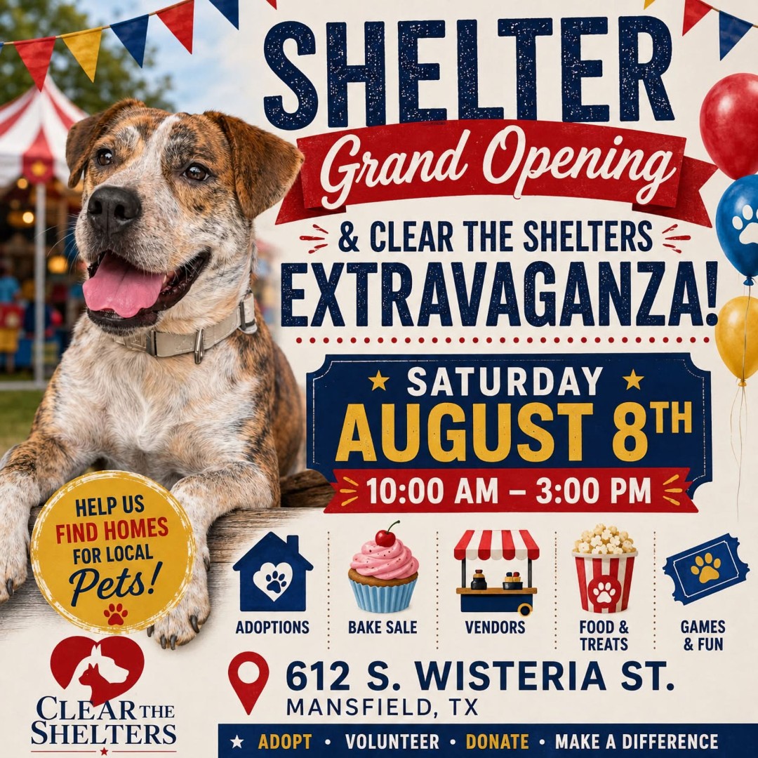 Clear The Shelters Flier Clear The Shelters Flier